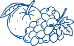 Line-art fruits including grapes and an apple